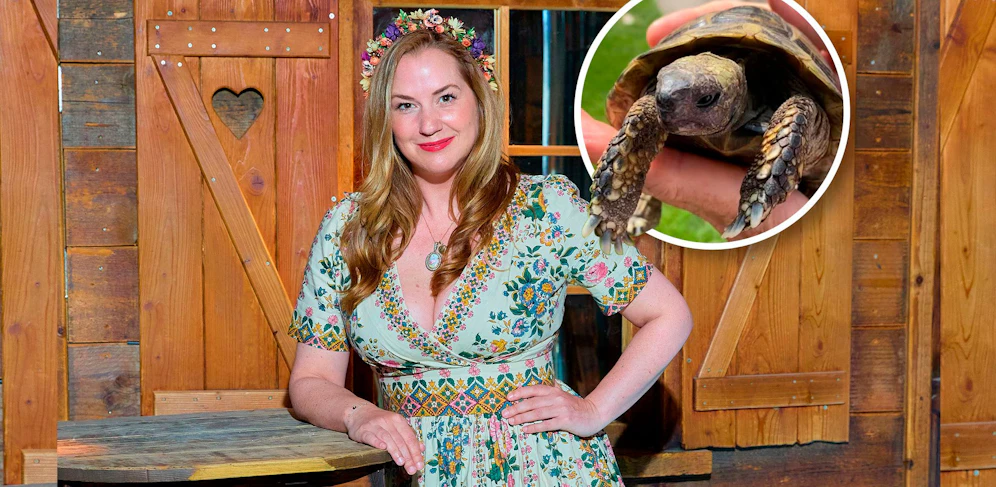 Kopfschmuck-Designerin Niki Osl fand die herrenlose Schildkröte.