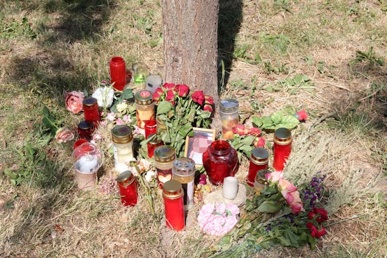 Mord Wien Donaustadt Opfer Mädchen 13-Jährige