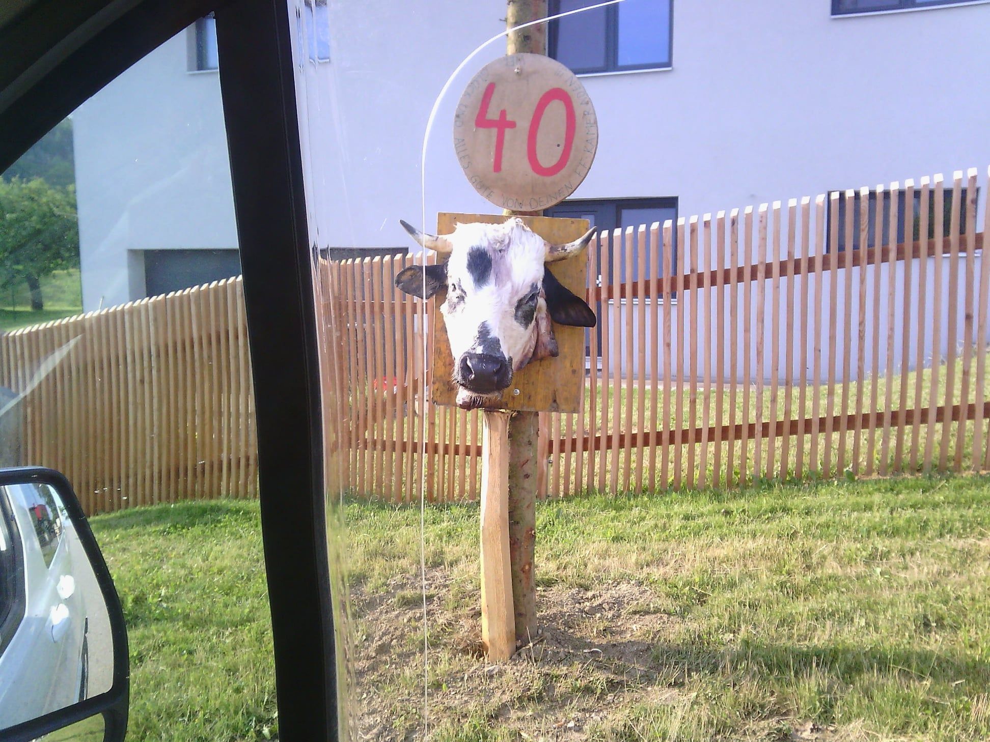 Ein bizarrer Brauch am Land: Kuhschädel zum 40er.