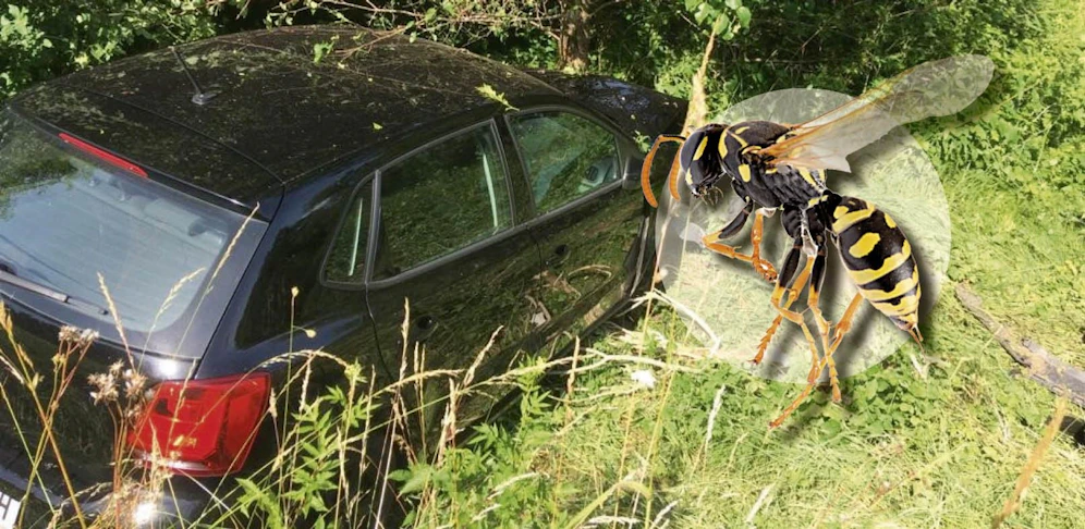 Die Lenkerin war durch die Wespe derart abgelenkt, dass sie gegen einen Baum krachte.