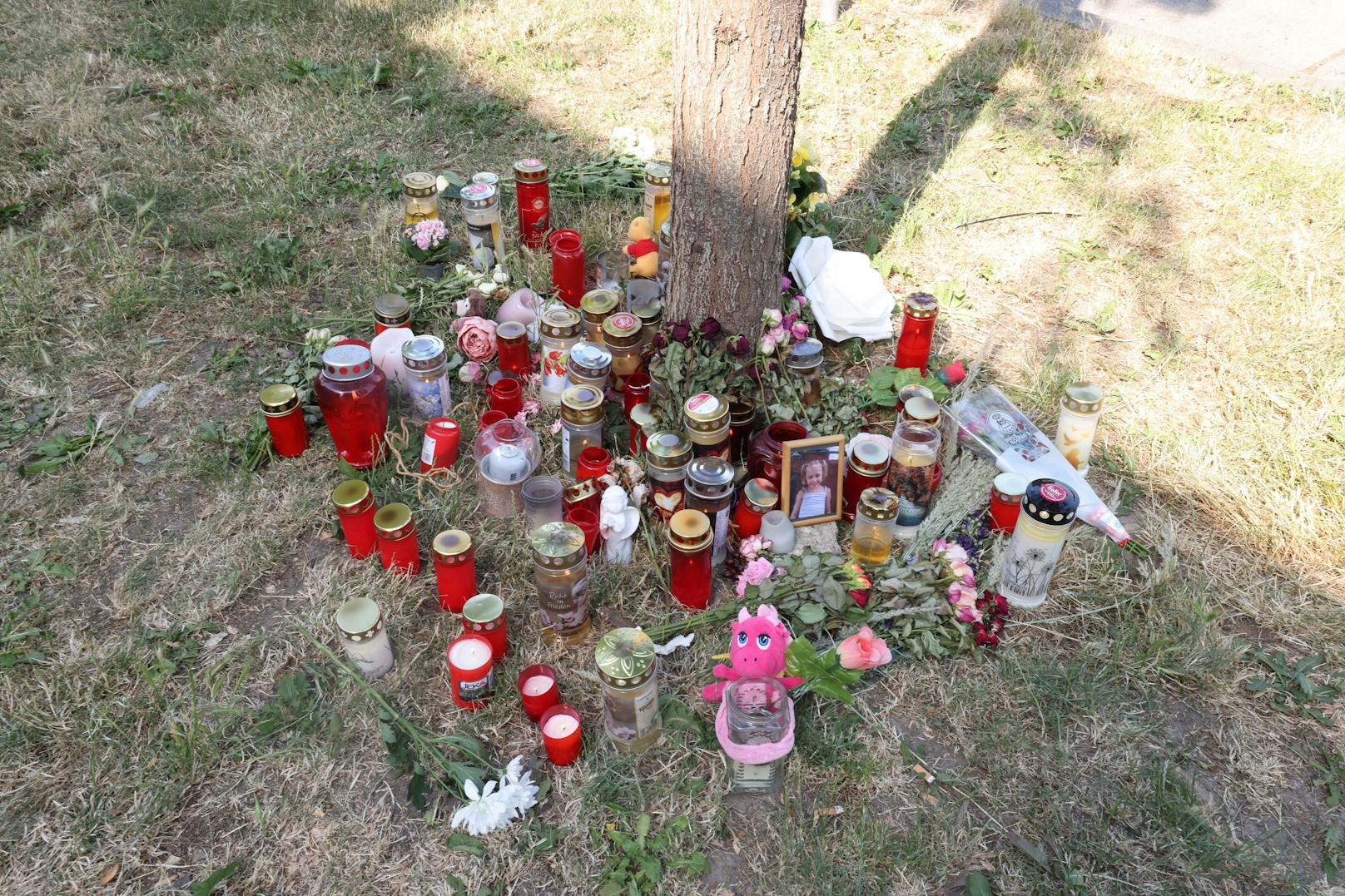 Passanten hatten am Samstagmorgen die 13-Jährige leblos auf einer Grünfläche in der Wiener Donaustadt gefunden.