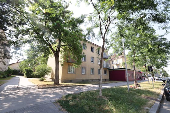 Hier auf diesem Grünstreifen wurde die 13-Jährige tot aufgefunden.