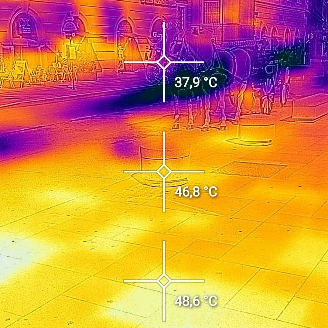 Während das ZMAG-Thermometer im Schatten noch 32 Grad anzeigt, hat sich der Asphalt am Stephansplatz unter den Pferdehufen auf 49 Grad aufgeheizt, die Luft ist fast 38 Grad heiß.