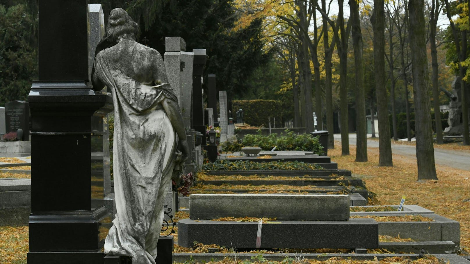 Verwechslungs-Chaos am Wiener Zentralfriedhof