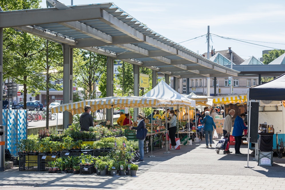 Für Wochenmärkte gibt es ab sofort neue Regeln.