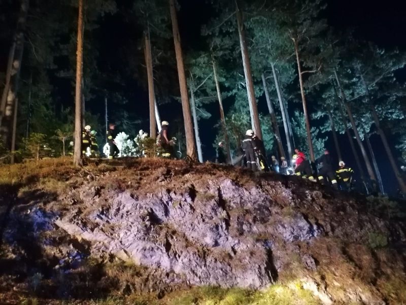 Acht Wehren rückten zum Waldbrand aus.