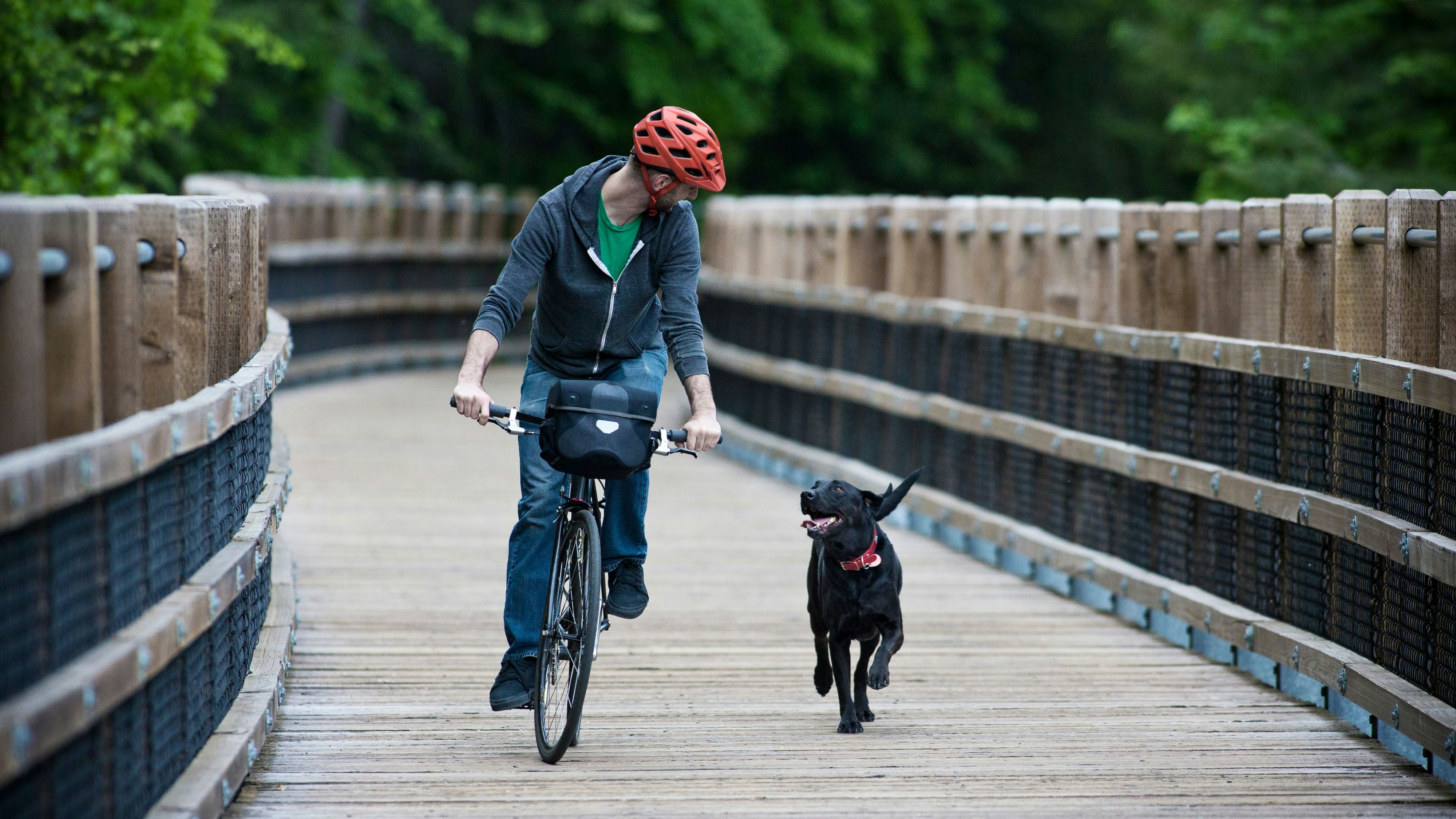 He is riding a city cruiser-style commuter bike.