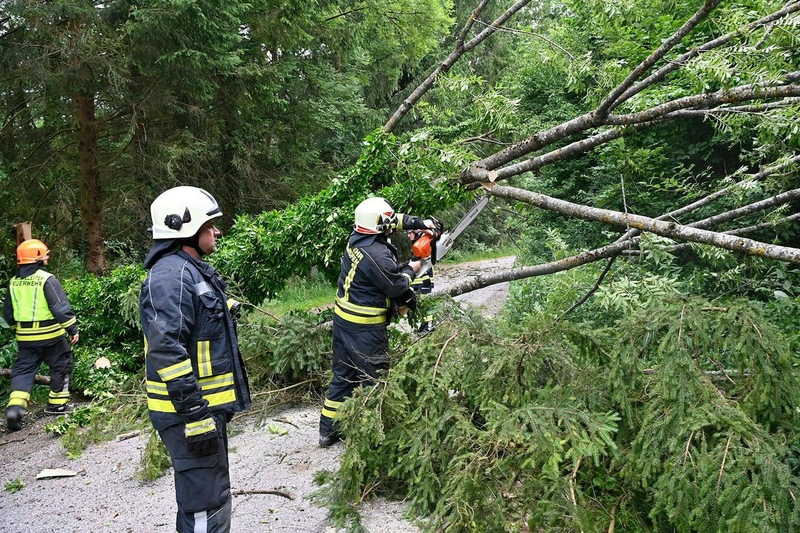 Einsatzkräfte der Feuerwehr am Dienstag, 29. Juni 2021, bei Aufräumungsarbeiten nach Unwetterschäden im Stadtgebiet von Mattighofen.