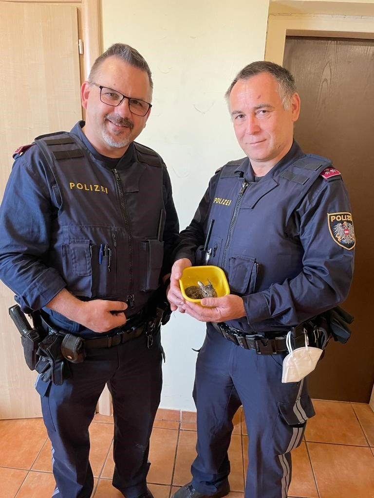 Die Polizisten und das gerettete Baby.