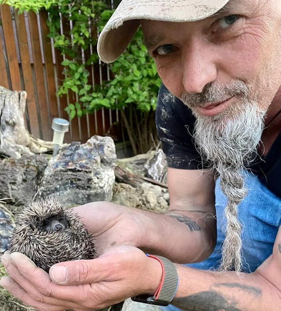 Markus Putzgruber vom Verein "RespekTurtle" mit dem Igel.