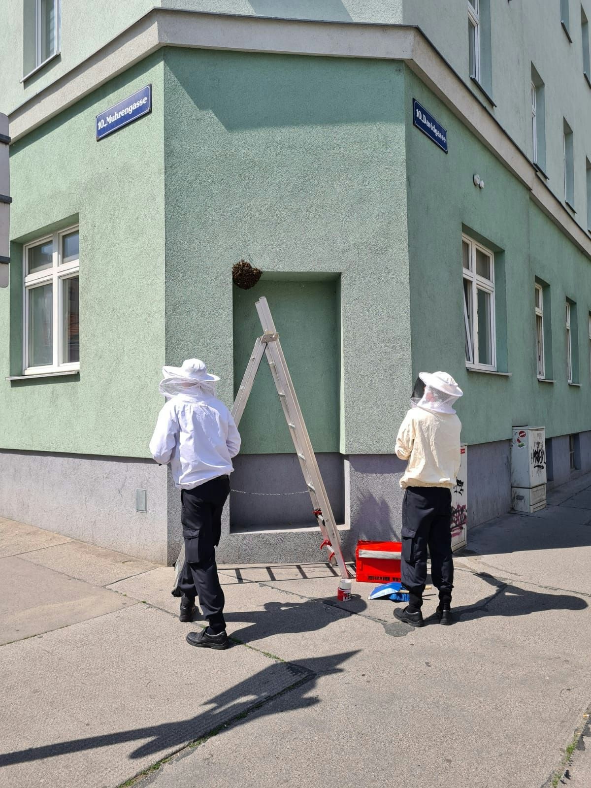 Bienen-Attacke in Wien-Favoriten auf Laufhausmanager Peter Laskaris.