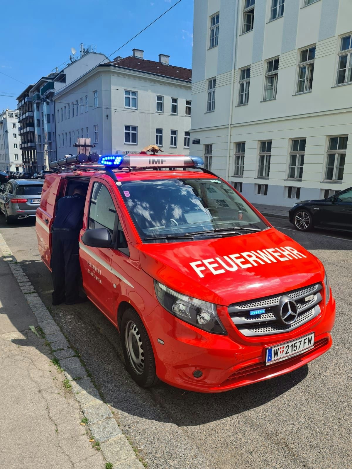 Bienen-Attacke in Wien-Favoriten auf Laufhausmanager Peter Laskaris.
