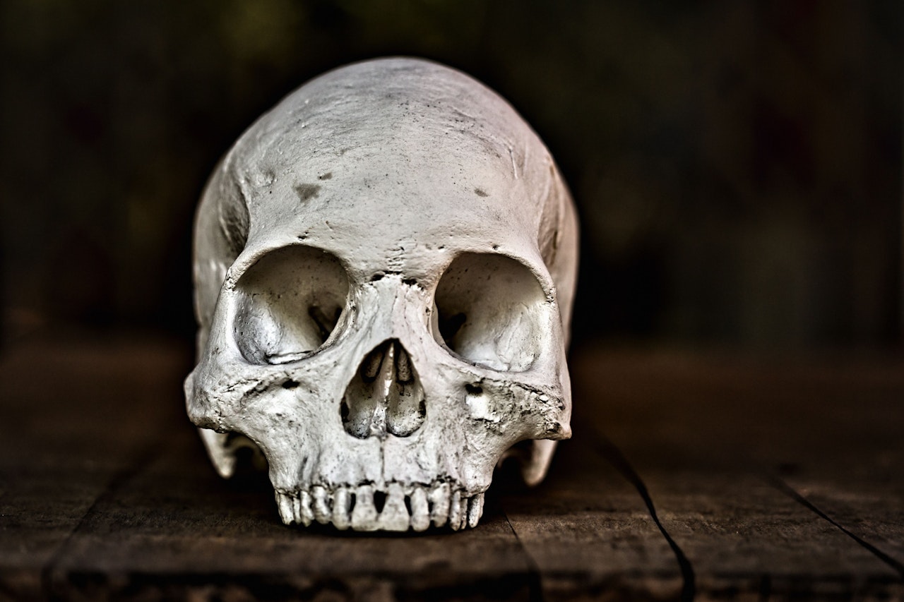 Heute.at - Zollbeamter findet Frauen-Schädel in Paket