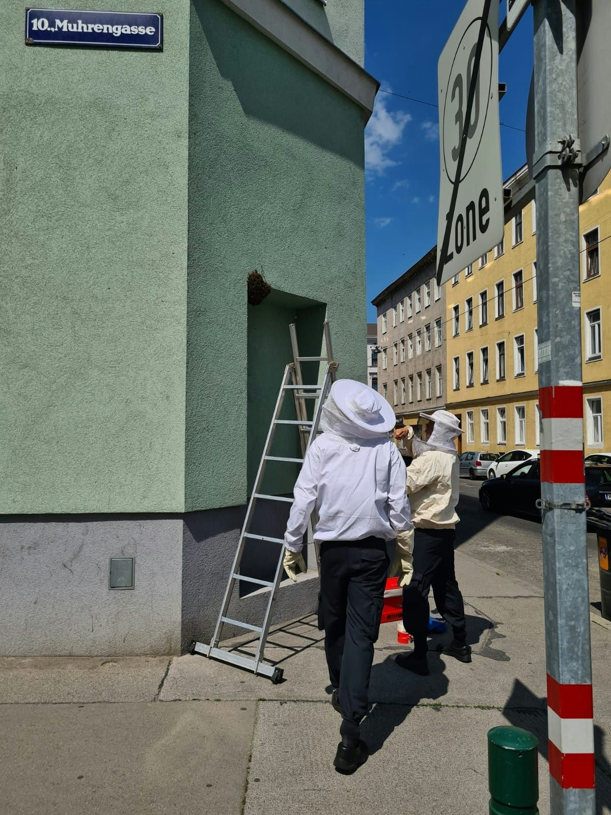 Bienen-Attacke in Wien-Favoriten auf Laufhausmanager Peter Laskaris.