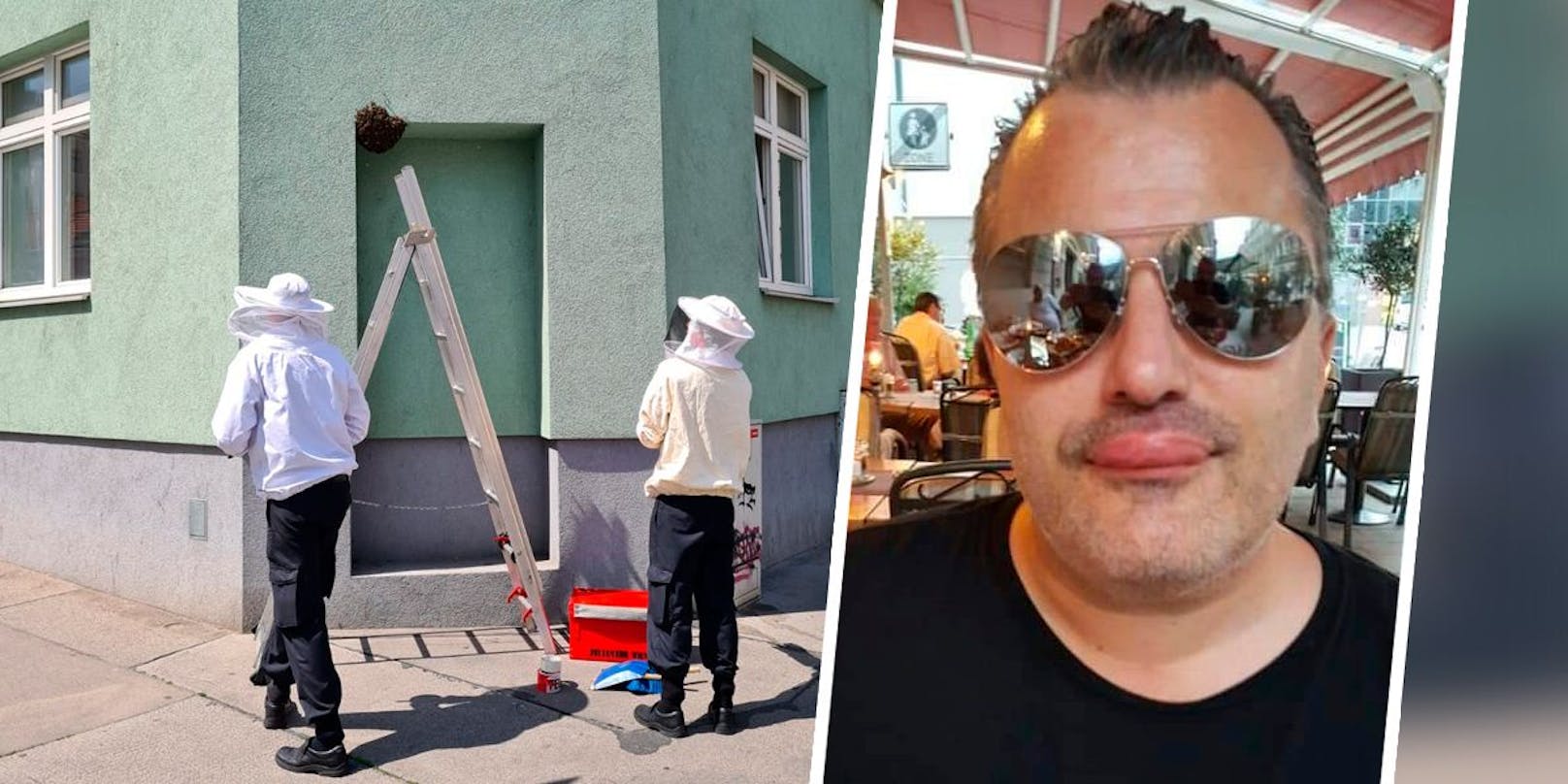 "Lippe wie Schiller": Laufhaus-Manager Laskaris wurde von Bienen attackiert.