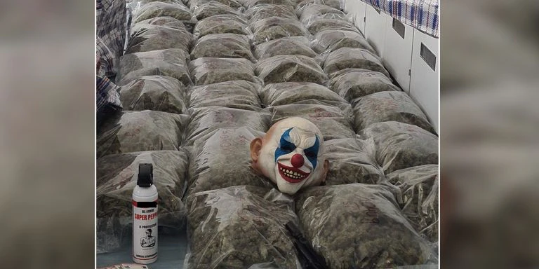 Die Polizei stellte rund 36 Kilogramm Marihuana sicher.
