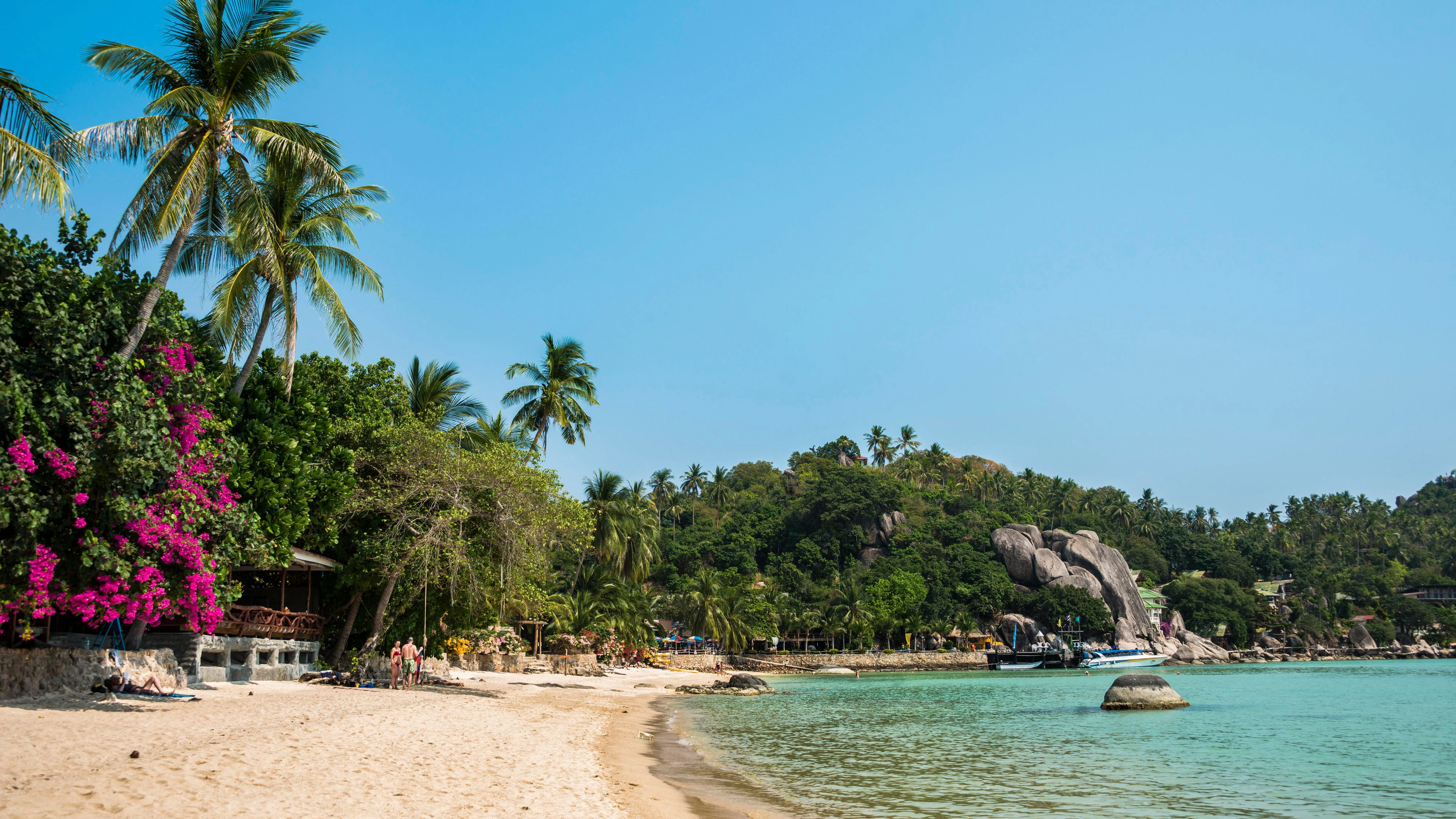 Koh Tao 