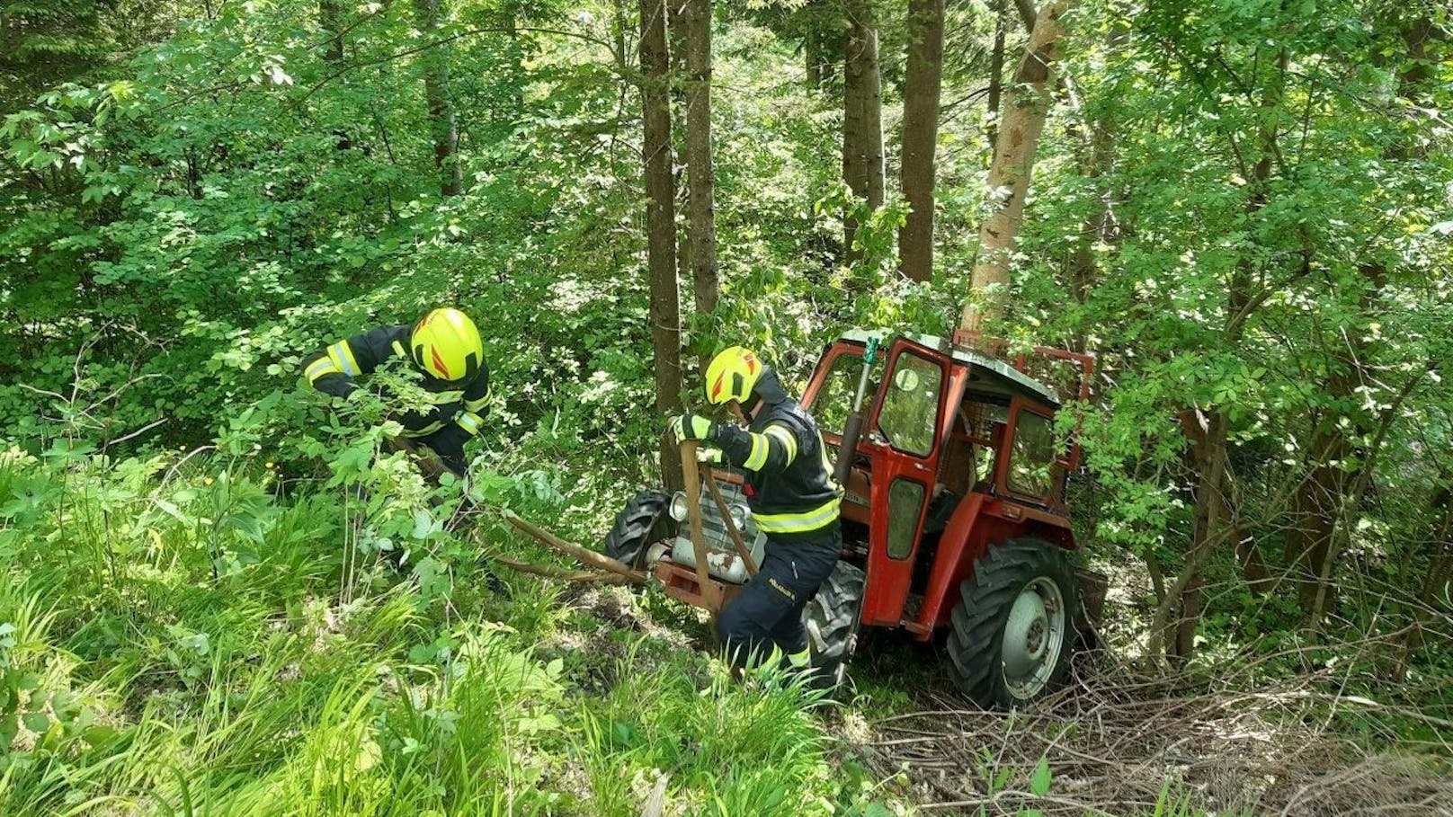 Der Lenker wurde bei dem Unfall schwer verletzt.