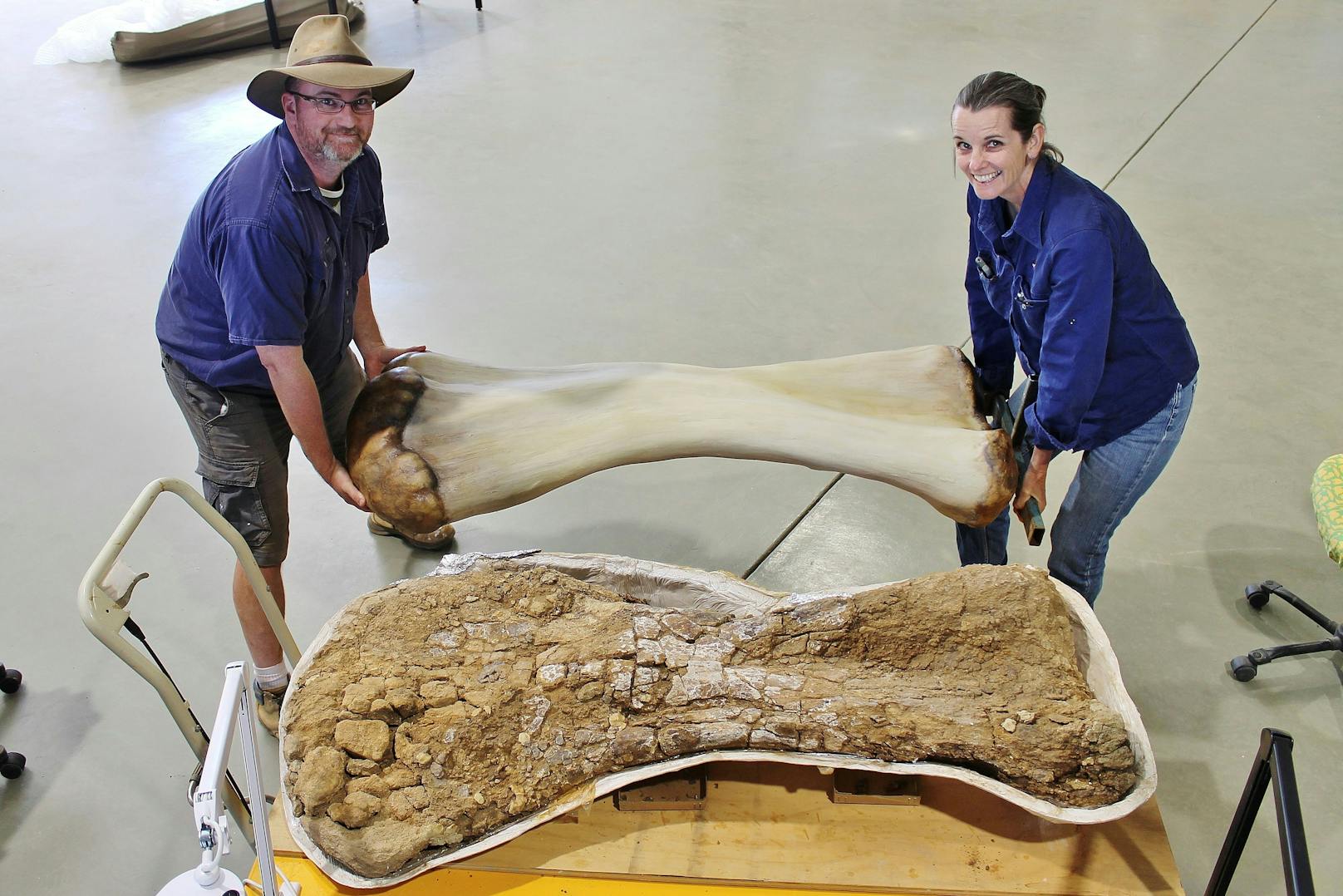 Das australische Ehepaar Scott Hocknull und Robyn Mackenzie hat Knochenteile eines Riesen-Dinosauriers gefunden.