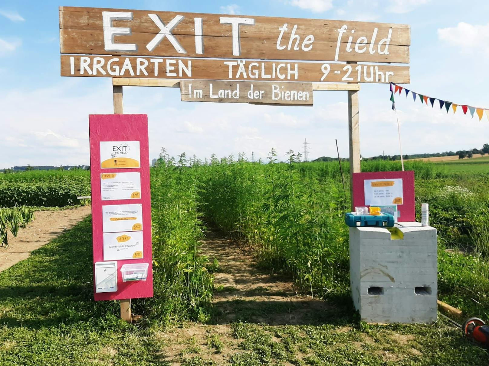 Der Irrgarten "Exit the Field" hat bis September täglich von 9 bis 21 Uhr geöffnet.
