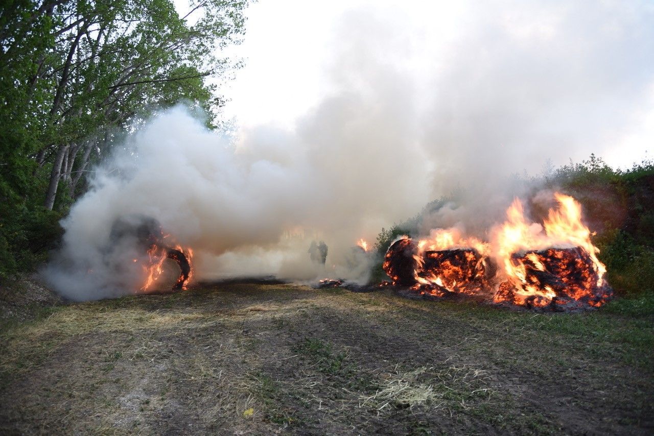 Die Feuerwehren im Löscheinsatz.