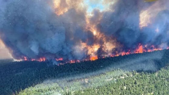 In Kanada haben die Menschen nach der Rekordhitze jetzt auch mit Waldbränden zu kämpfen. 
