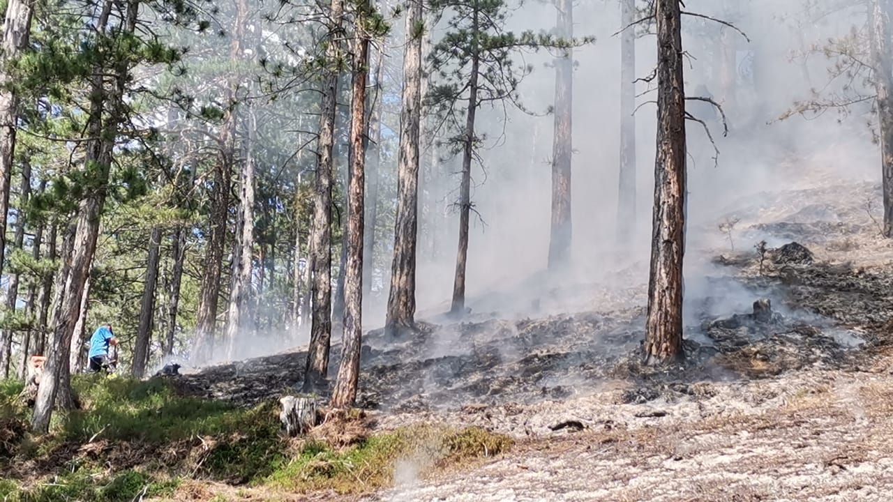 Waldbrand in Niederösterreich