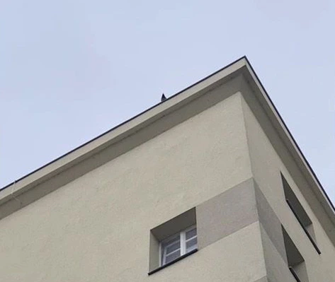 Der Rabe bewirft die Wiener mit Steinchen. 