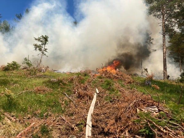 Im Gaupmannsgraben brach ein Brand aus.