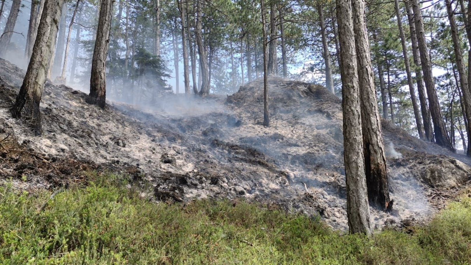 "Brand aus" nach Waldbrand in Gutenstein