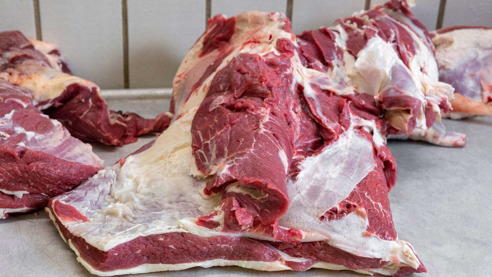 Im Reiseverkehr dürfen Fleisch und Fleischerzeugnisse aus fast allen Nicht-EU-Ländern überhaupt nicht in die EU eingeführt werden.