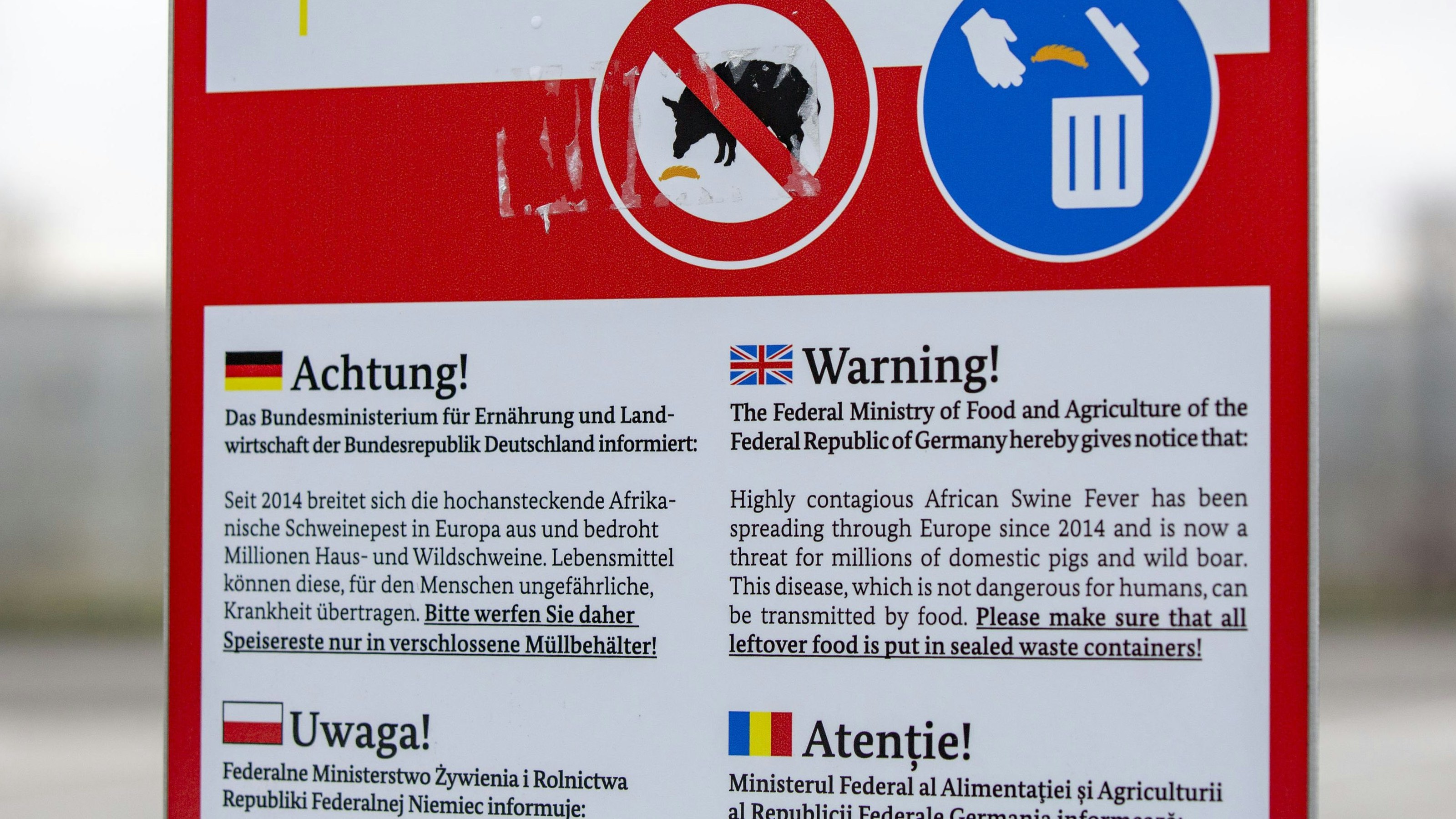 In Hinblick auf die Afrikanische Schweinepest geht von selbst produzierten Fleischprodukten besonders hohes Risiko aus.
