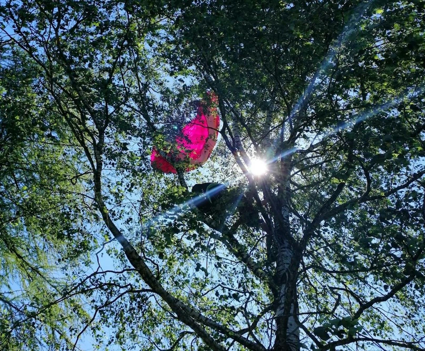 In zehn Metern Höhe hing die Frau im Baum fest.