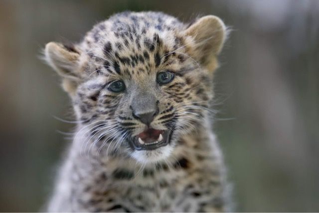 Schon ein richtiger Fotoprofi.