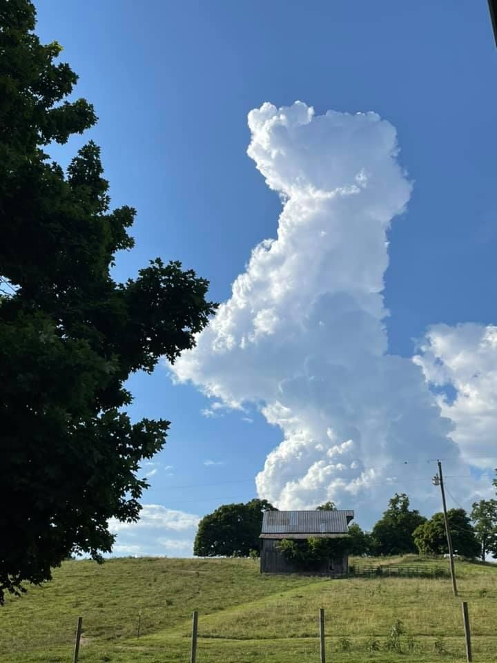 Ganz klar - ein spielendes Hündchen, oder? 