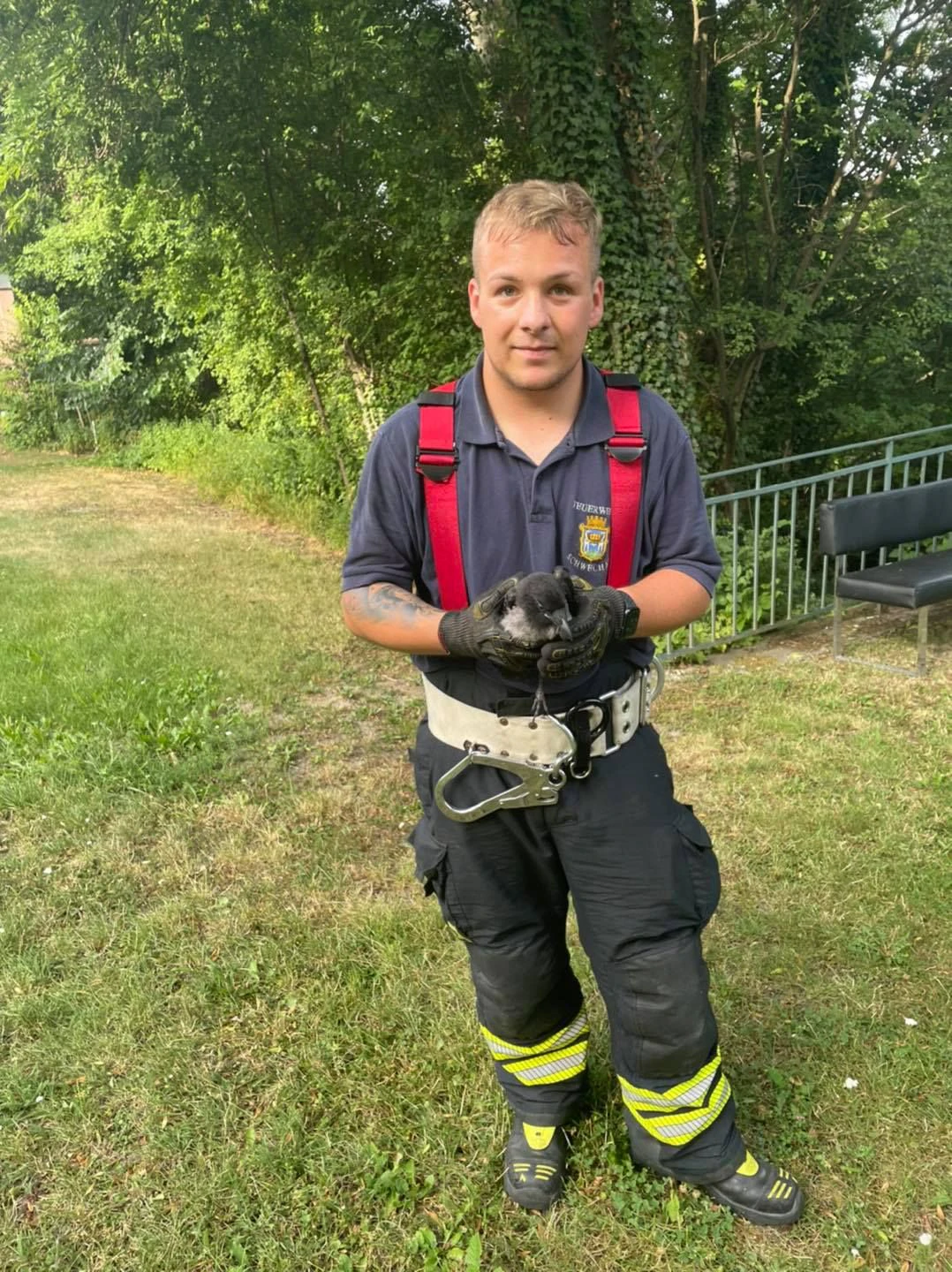 Der Rabe mit seinem Retter.