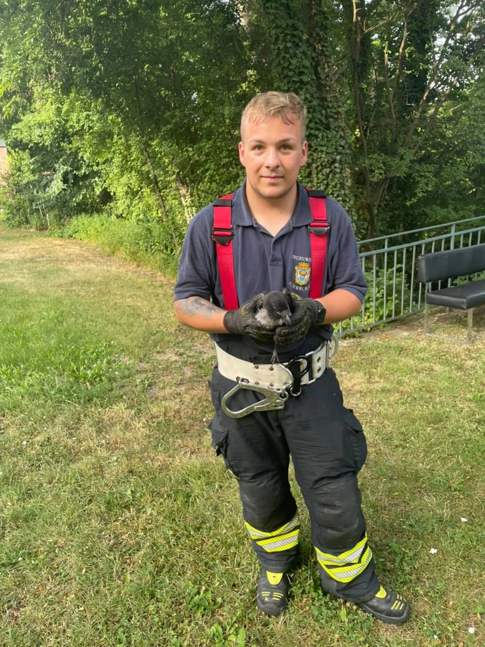 Der Rabe mit seinem Retter.