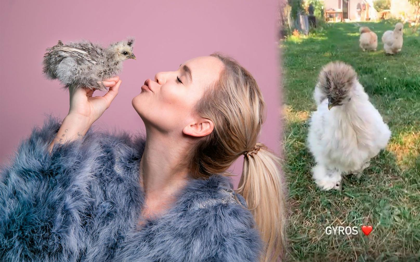 Youtuberin Lisa Sophie Thoma zieht Seidenhühner groß. Eines davon wuchs bei ihr zu Hause auf und hört auf den Namen Gyros.&nbsp;