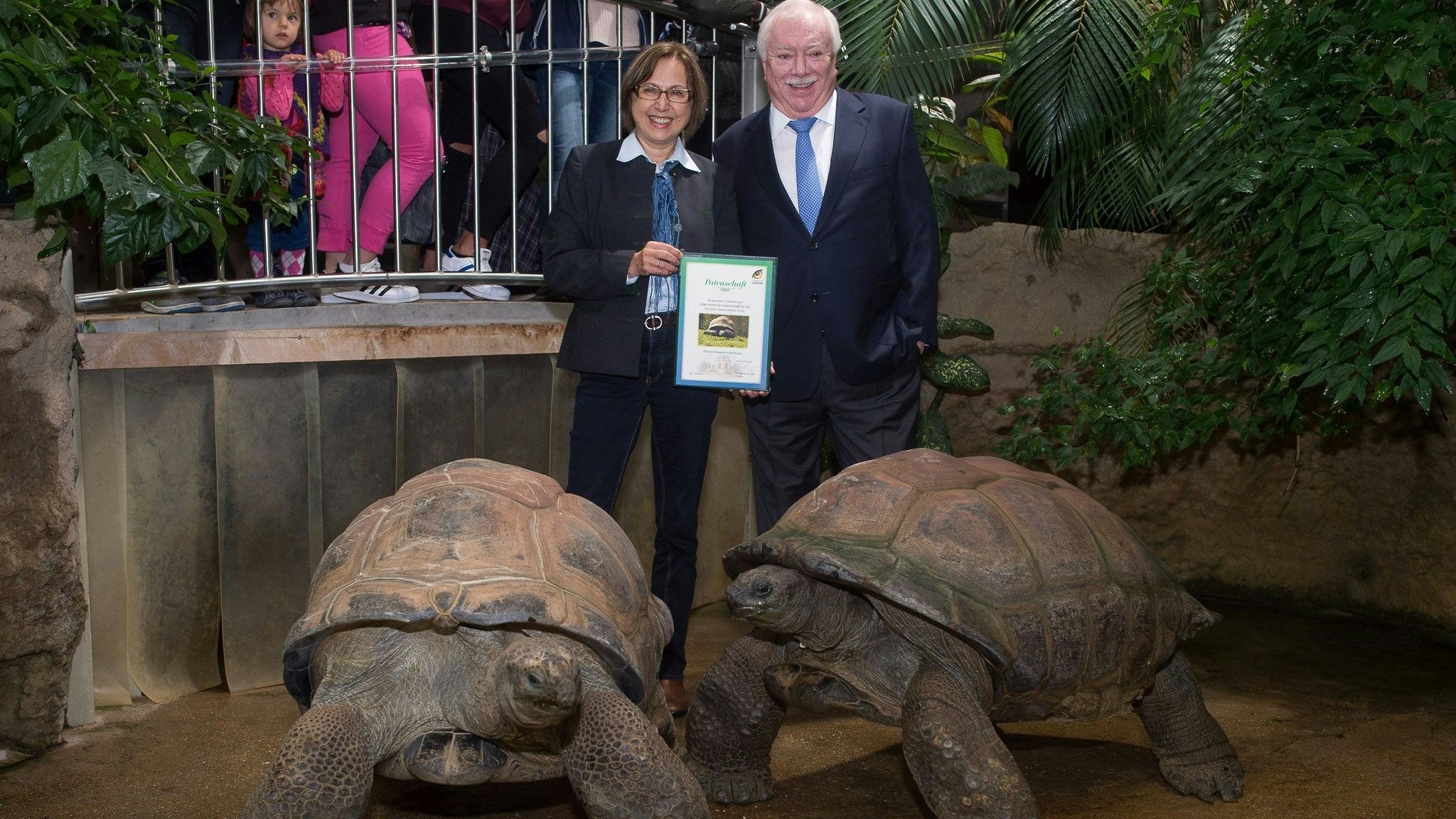 Michael Häupl, Patenschaftsübergabe Riesenschildkröte, Tiergarten Schönbrunn
