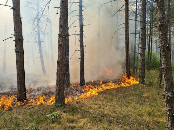 Die Feuerwehr steht erneut im Löscheinsatz.