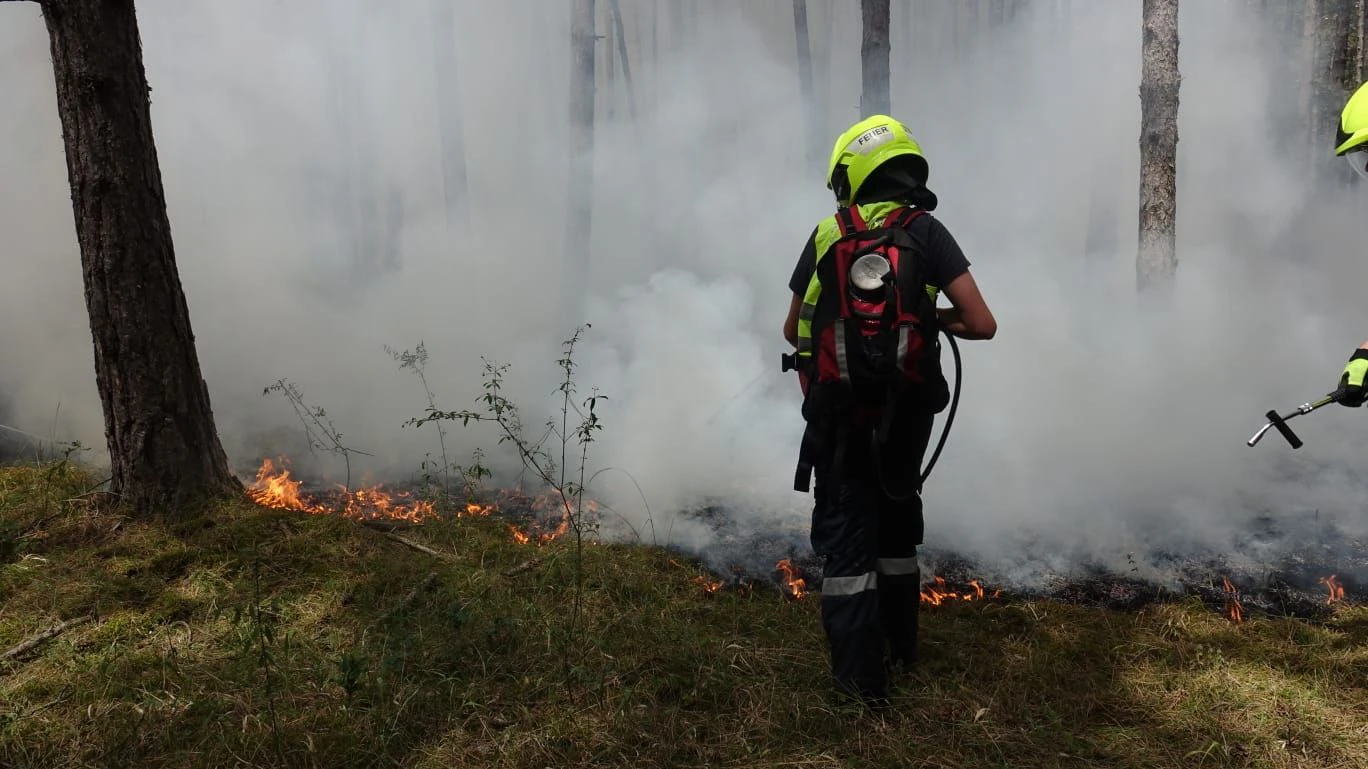 Heute.at - Endlich! Brand aus im Föhrenwald Neunkirchen