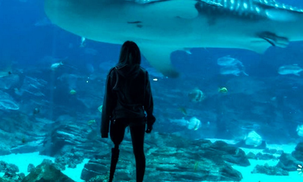 Der Haiangriff kostete Paige ein Bein und zwei Finger - doch sie hat dank ihres Vaters überlebt. 