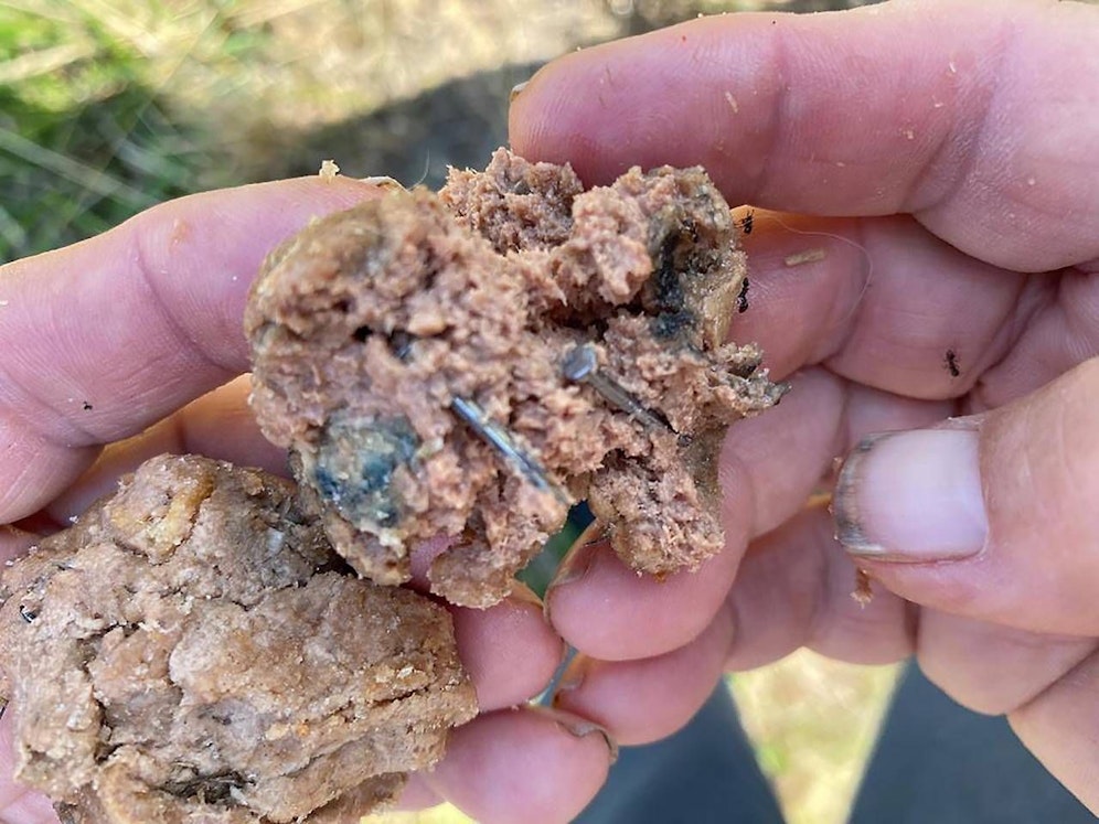 Gemeinde warnt vor Giftlödern