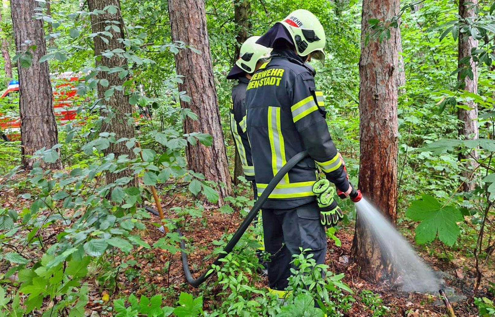 Die Feuerwehr löschten den Brand schließlich gänzlich ab.