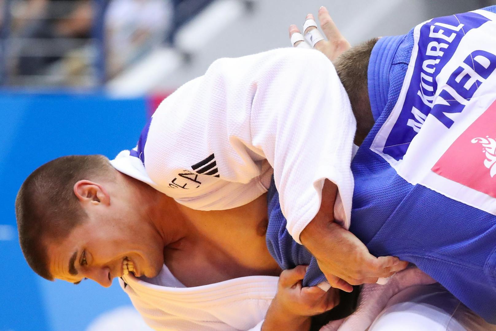 Judo: Stephan Hegyi