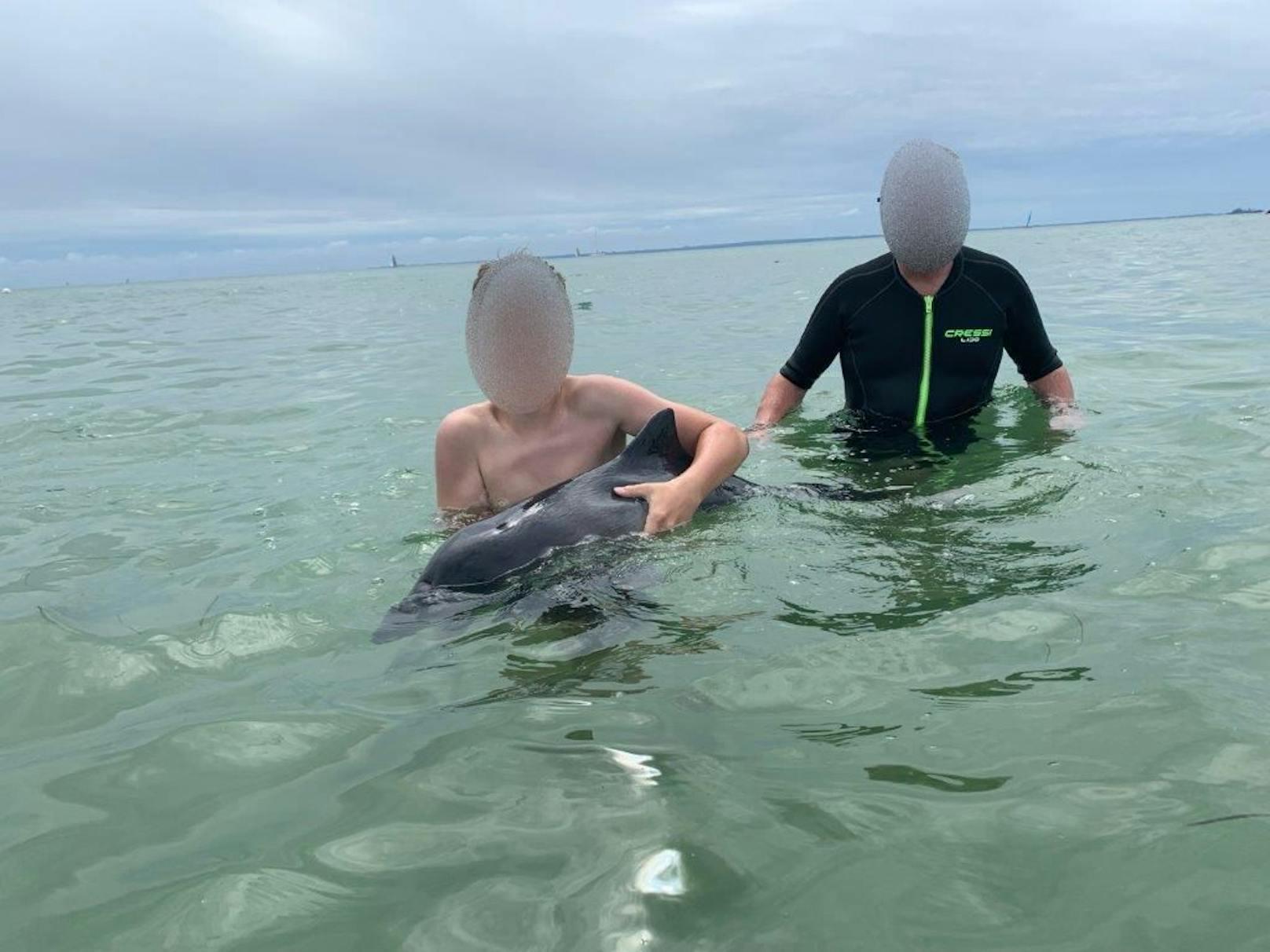 Kinder streicheln kleinen Schweinswal in der Ostsee tot