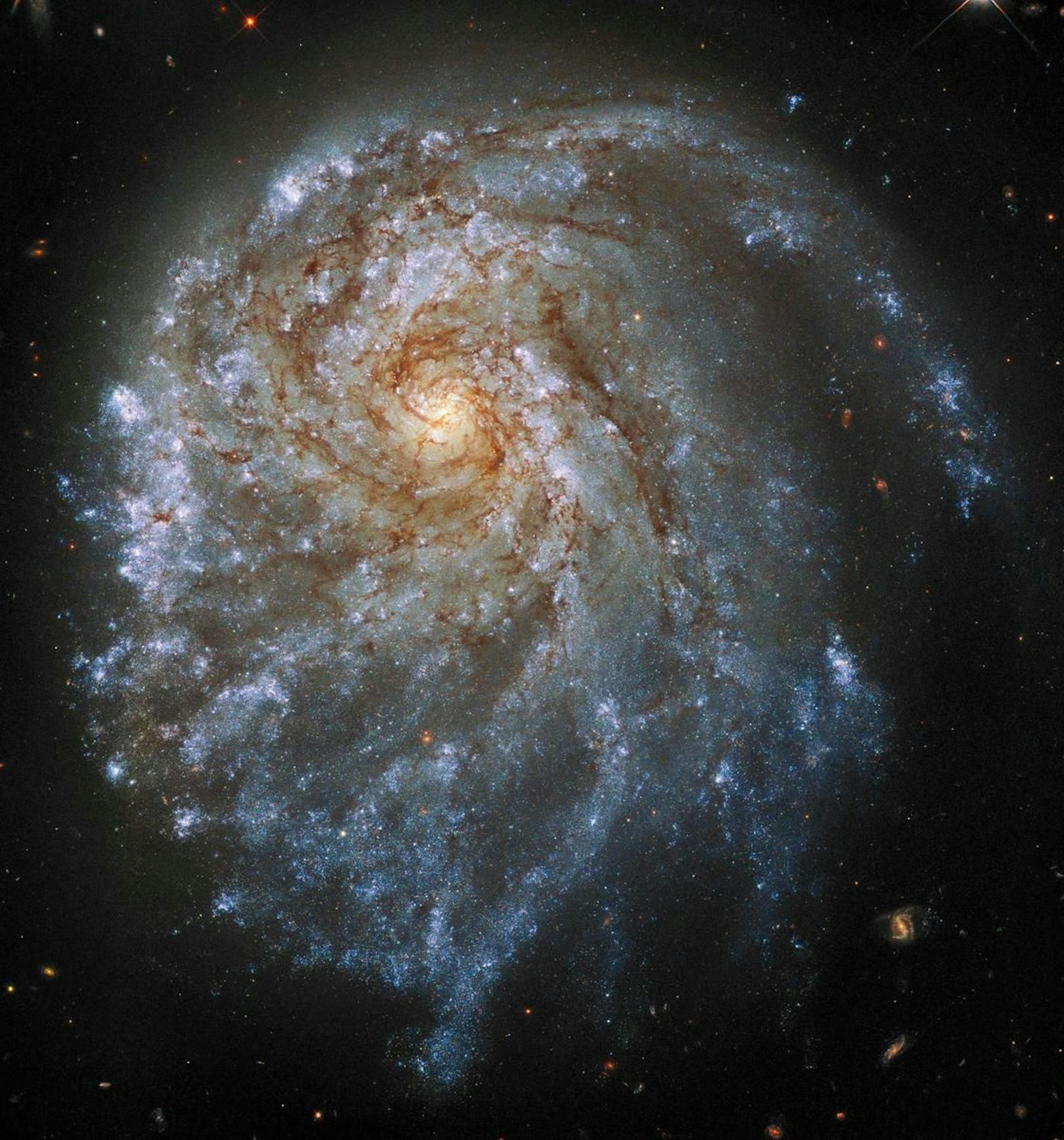 Hier sehen wir einen Arm der Spiral-Galaxie NGC 2276, die sich 120 Millionen Lichtjahre entfernt befindet.
