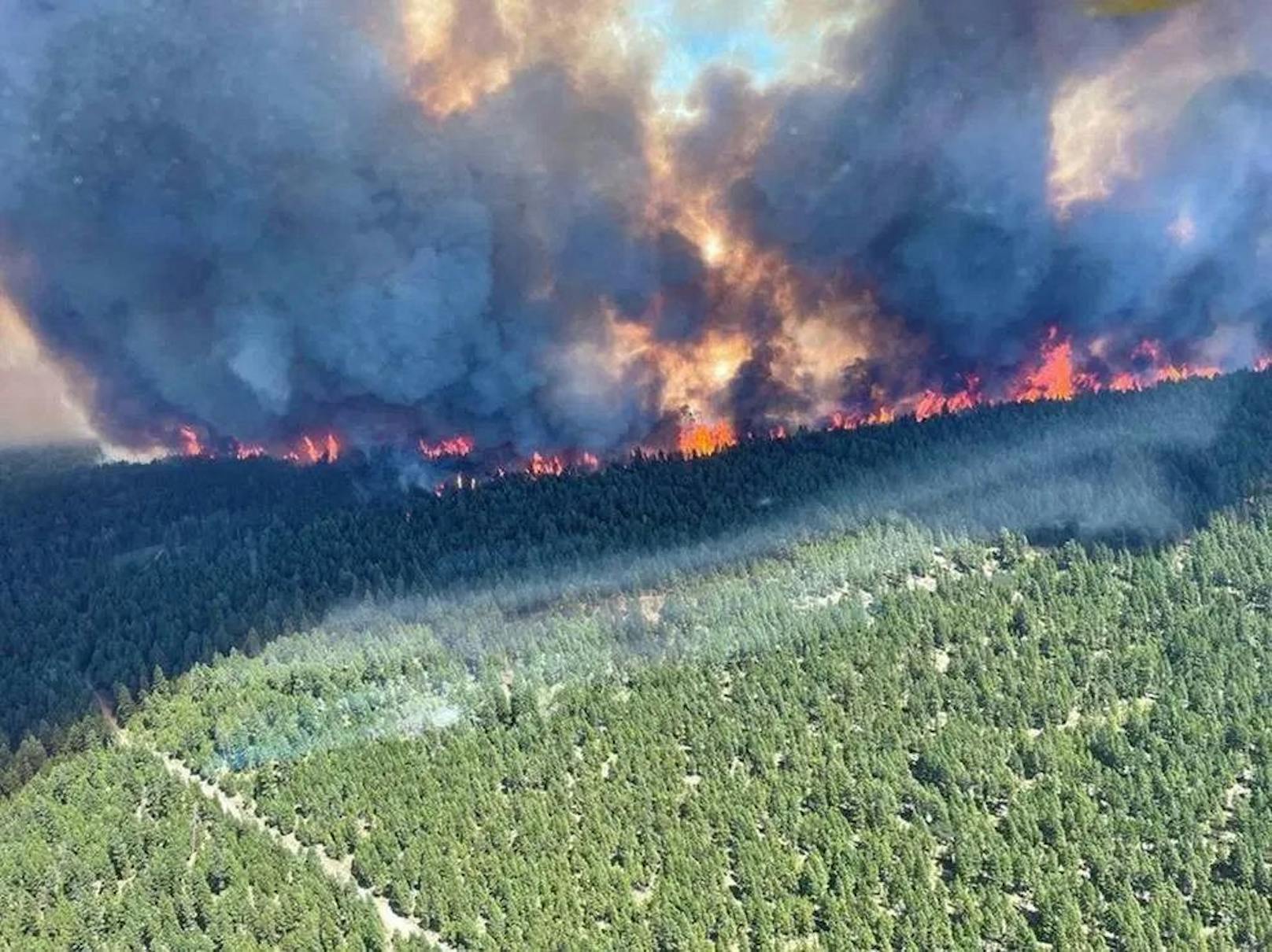 Waldbrand in Kanada nach der Rekord-Hitze