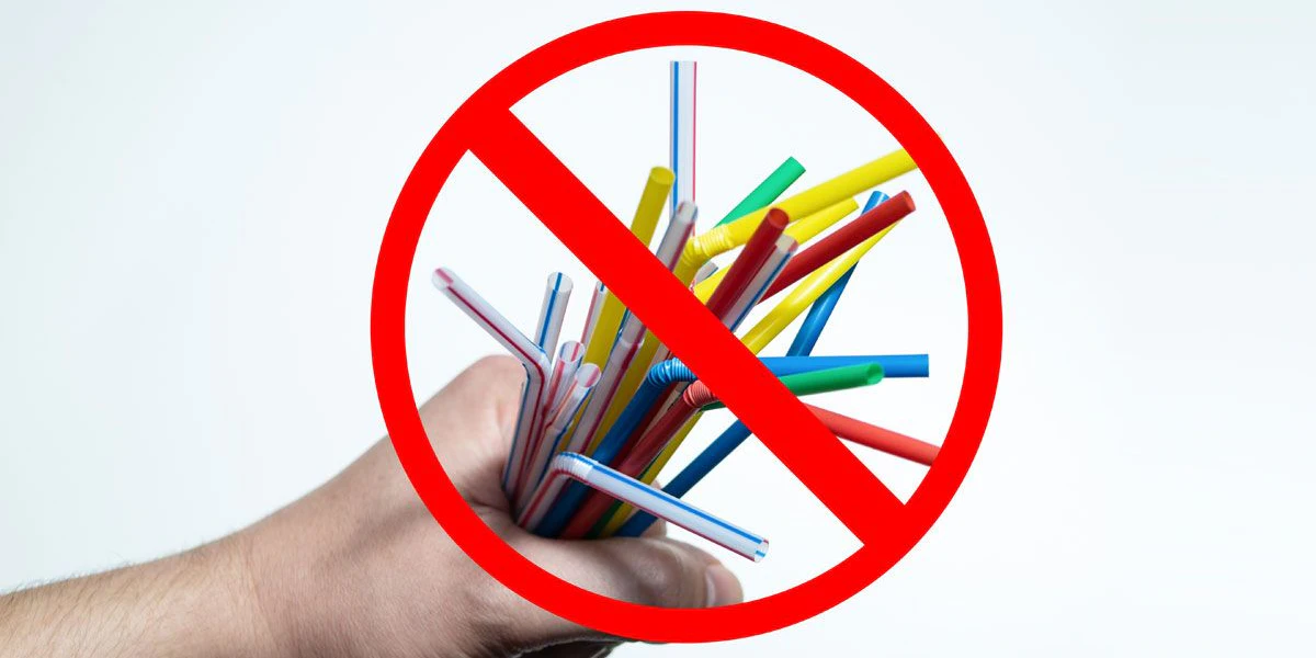Plastik-Strohhalme ab jetzt verboten! Die Alternativen - Vimarsana News