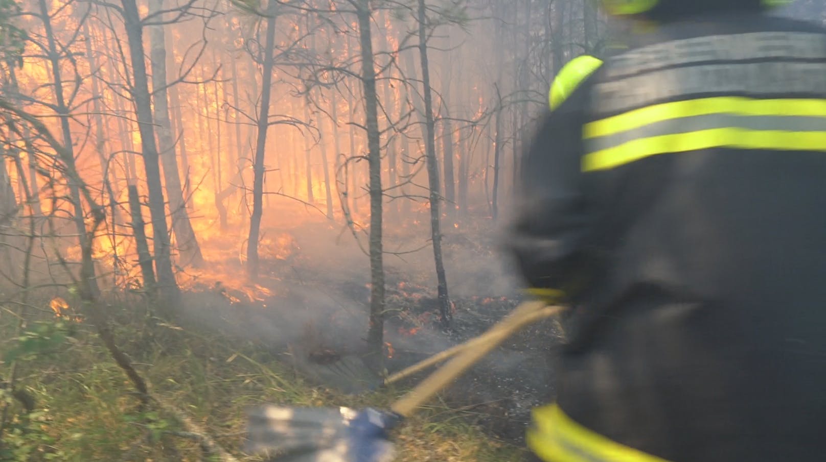 Video zeigt Waldbrand-Inferno aus nächster Nähe